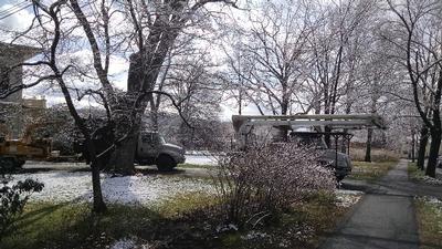IMG 20160403 101101689